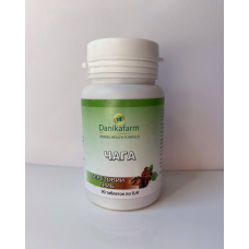 Натуральна домішка Чага — березовий гриб (Fungus betulinus) Данікафарм